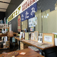 画像259